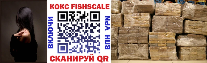 нарко площадка клад  даркнет сайт  Новоалтайск  Cocaine Fish Scale 