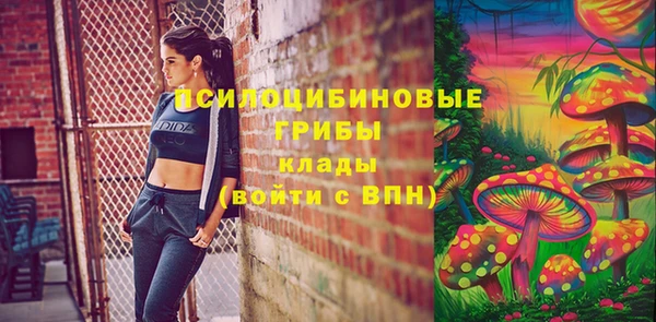 ПСИЛОЦИБИНОВЫЕ ГРИБЫ Коряжма