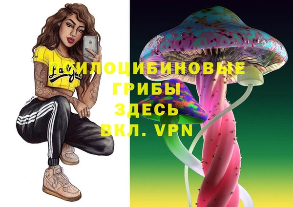 мет Кодинск