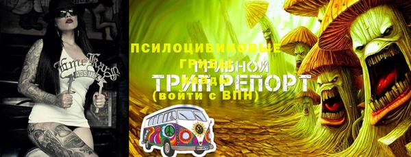 mix Козловка