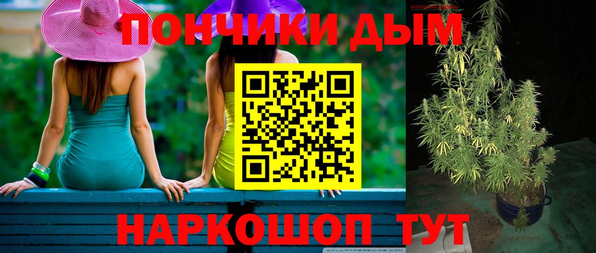 Каннабис OG Kush Новоалтайск